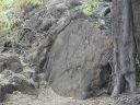 Hawaiian Petroglyphs 3