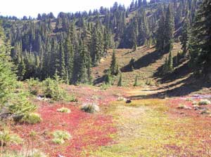 Fall Color at the Potholes