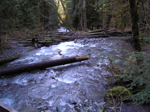 Elwha River Near Lilian Camp