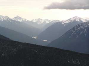 Hurricane Ridge View 1