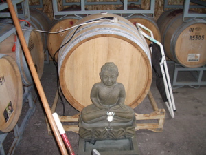 Harbinger Winery for Luck