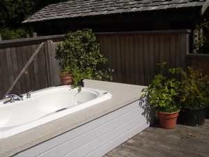 The Whirlpool Bath