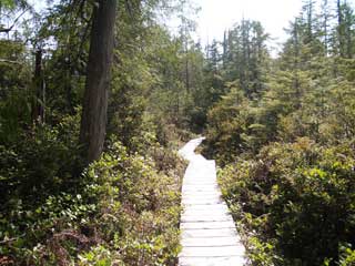 The walk back from Sand Point