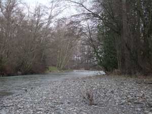 More Drift Wood at Rialto Beach