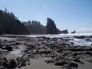 Scene at Second Beach