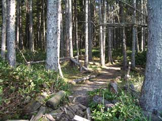 Walk back from Sand Point