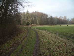 The Dungeness Dike Trail