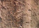 Bandelier Petroglyph 5