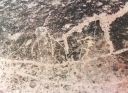Mortidad Petroglyph 4